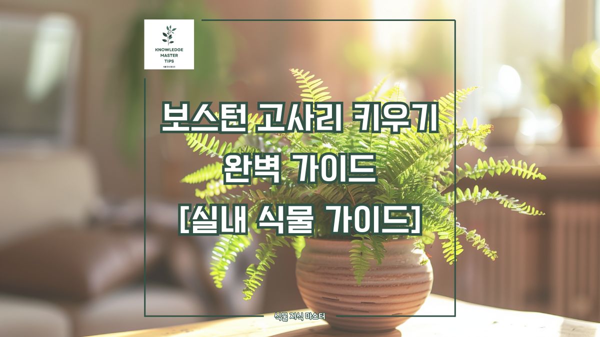 보스턴 고사리 키우기, 완벽 가이드 [실내 식물 가이드]