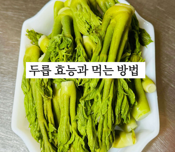두릅 효능과 두릅 먹는 방법