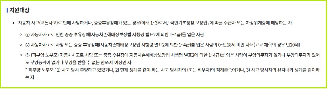 자동차사고 피해자1