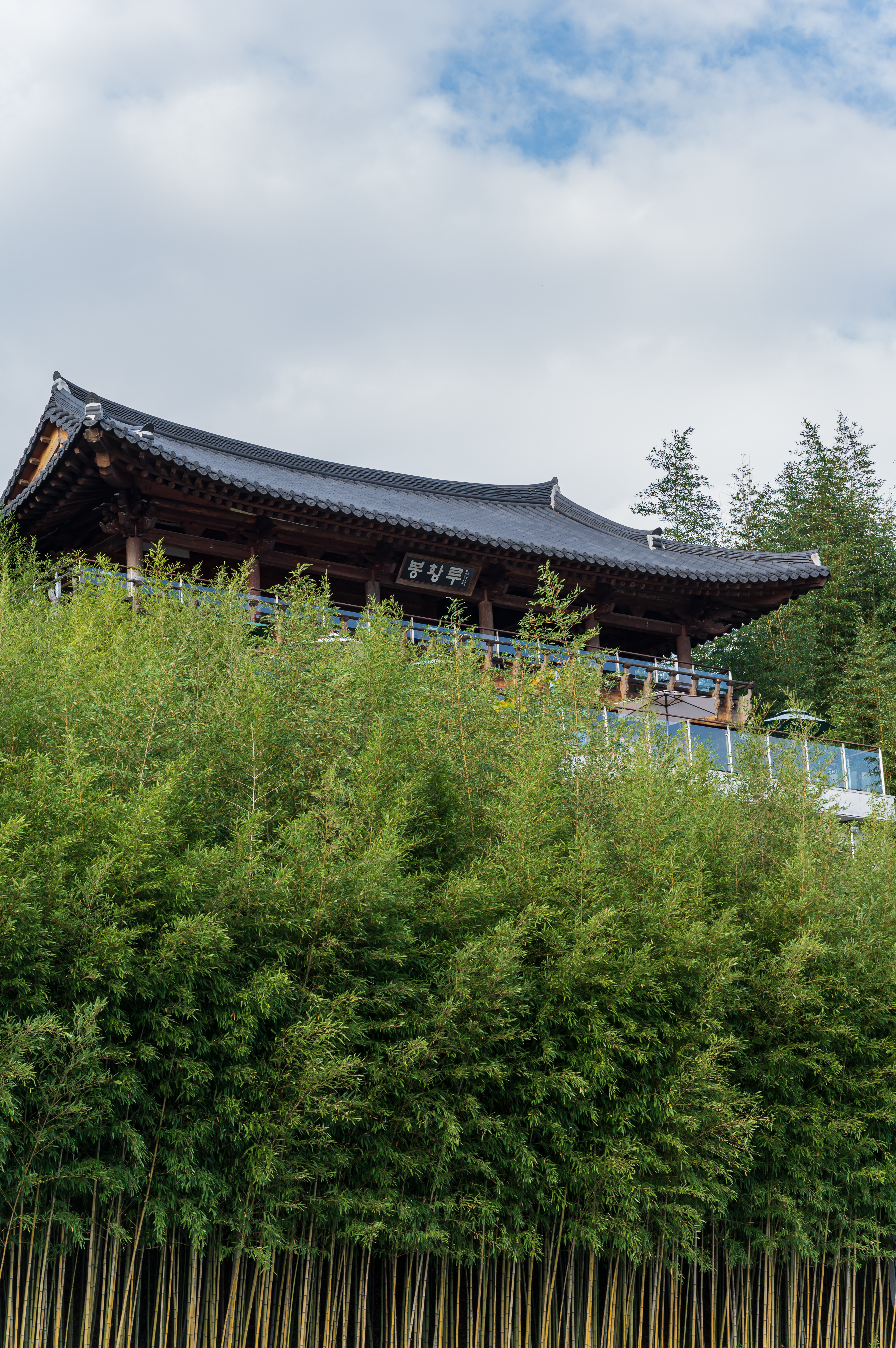 ๋ด์ ๊ด๋ฐฉ์ ๋ฆผ