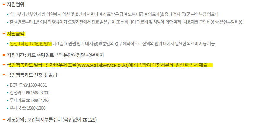 청소년 산모 임신 및 출산 의료비 지원 상세 내역