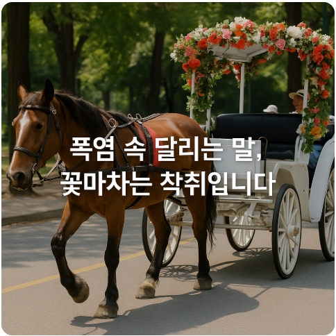 제주도 꽃마차는 낭만이 아닙니다, 동물학대입니다.
