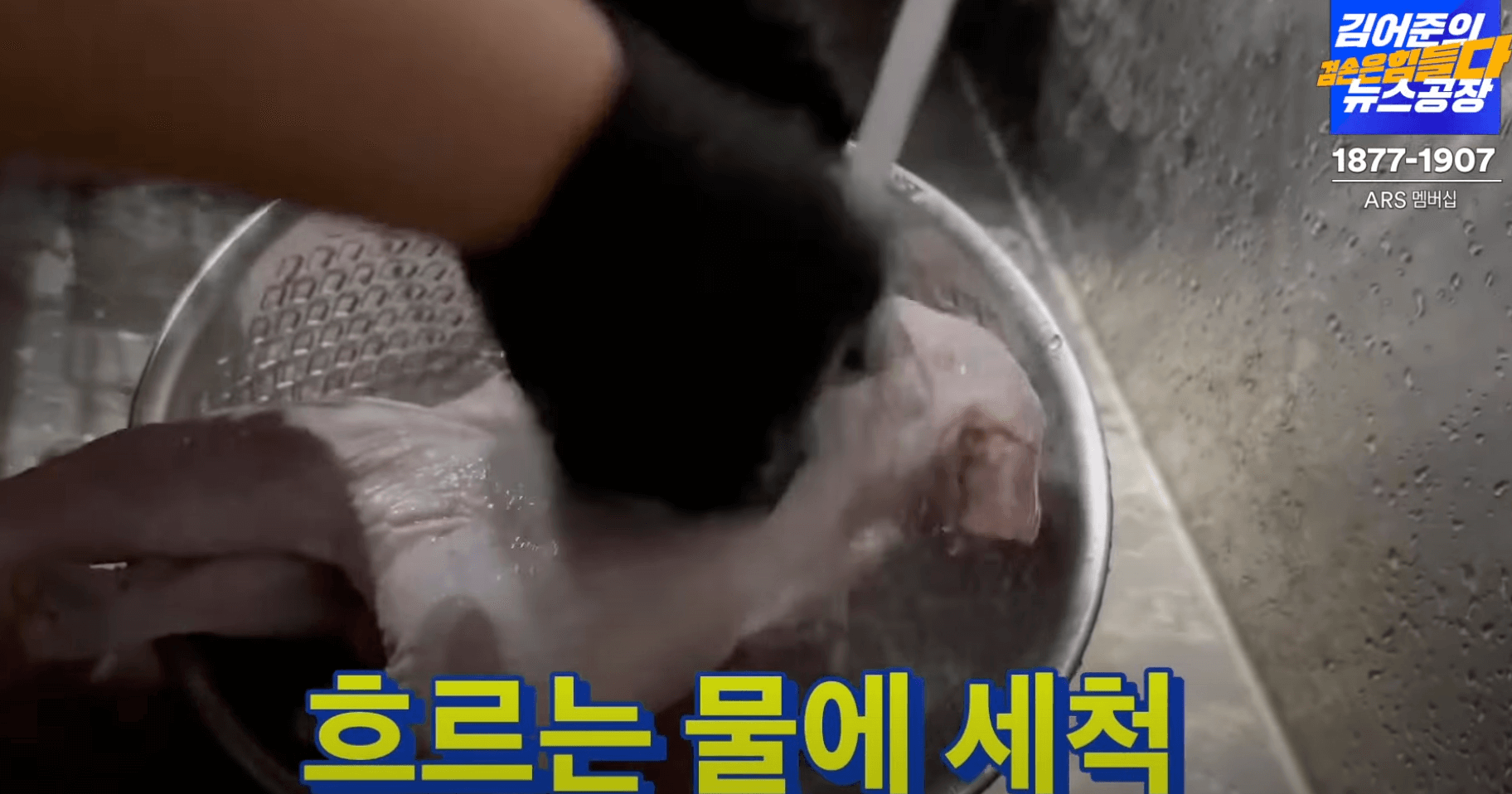 닭-세척
