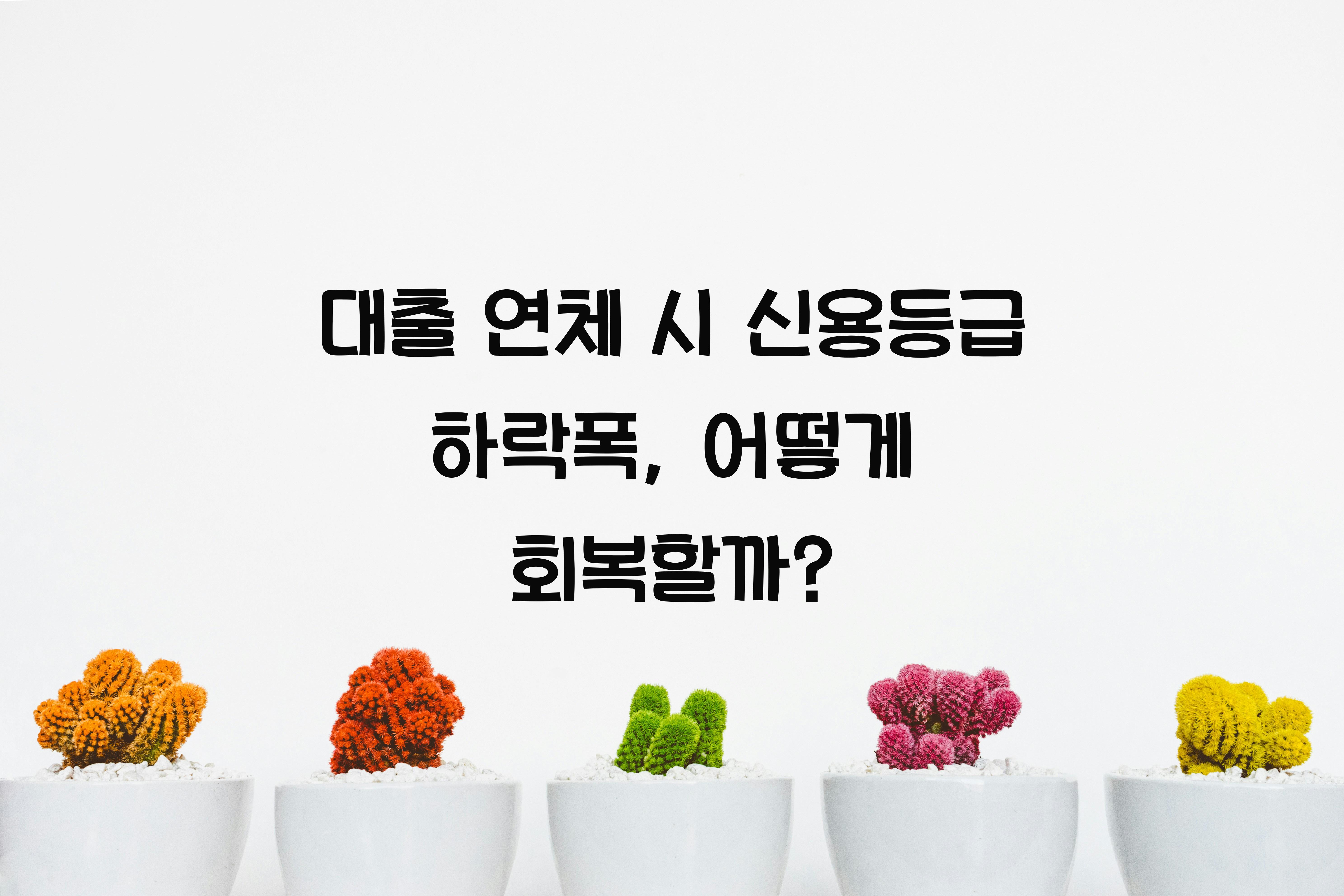 대출 연체 시 신용등급 하락폭