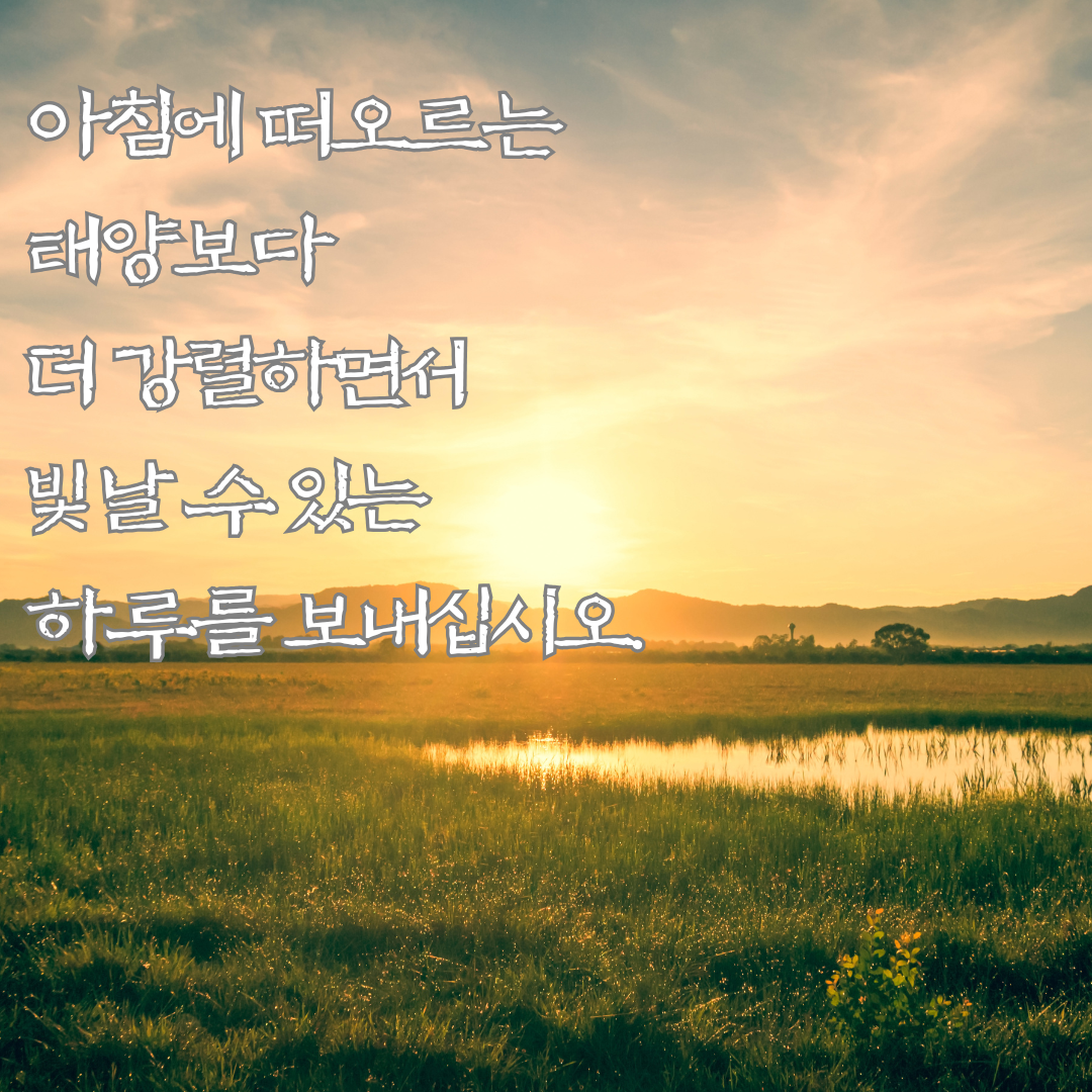 기분 좋은 아침 인사말 이미지 문구 모음집