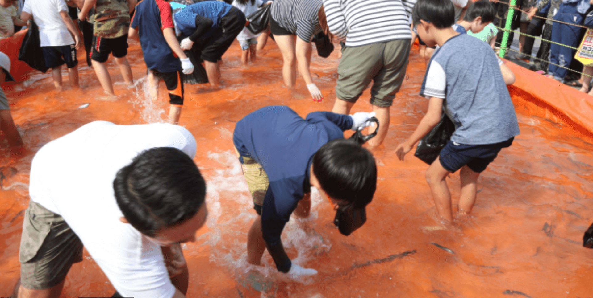 전국 9월 가을 축제 가볼만한곳 추천 BEST 5.