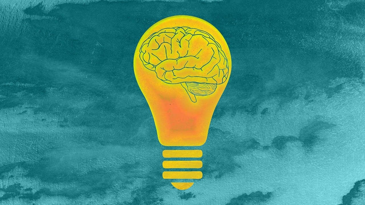 나이가 들면 뇌는 진짜 느려질까?