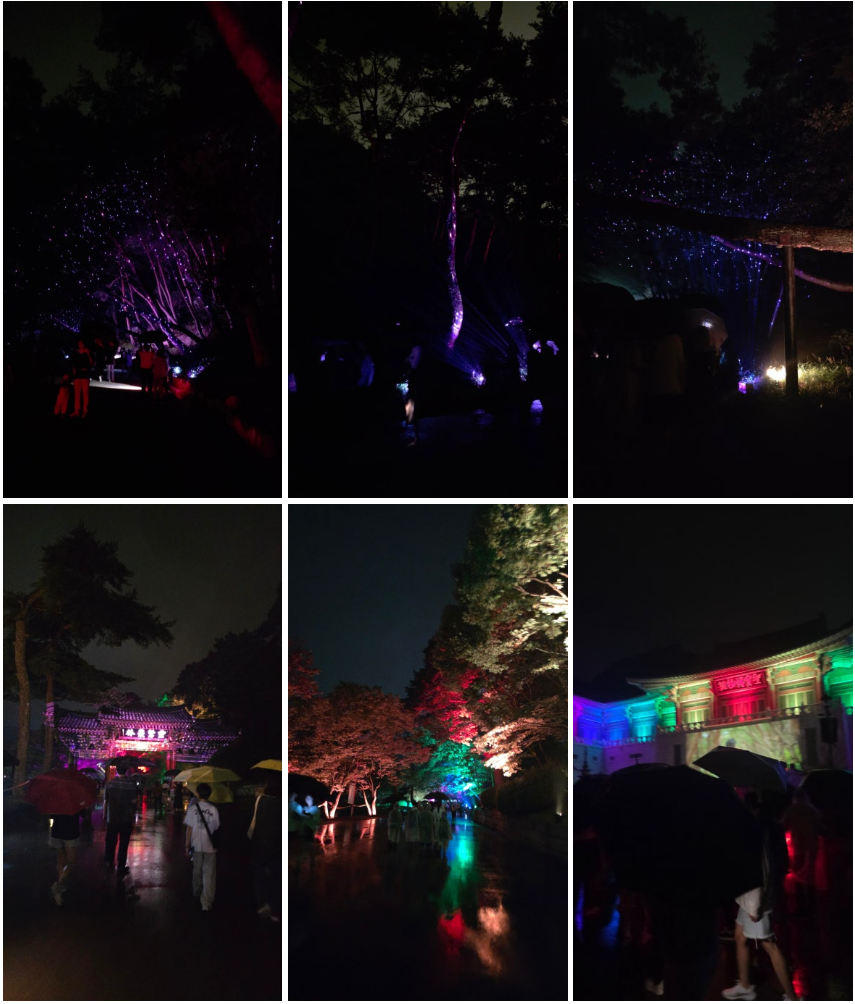 2025 국가유산 미디어아트 통도사