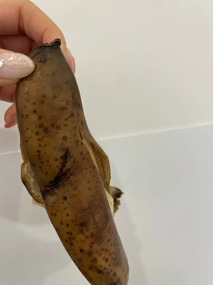 바나나 껍질 색깔이 검은색으로 변하면 못 먹나요