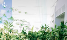 슬픈 젖꾹지 증후군&amp;#44; 슬픈 젖꼭지 증후군