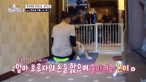 함께 자리에 앉아 여자보호자의 손길을 느끼고 있는 개