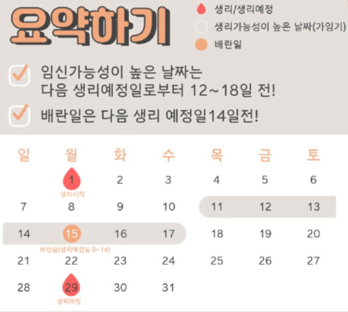 배란일 달력