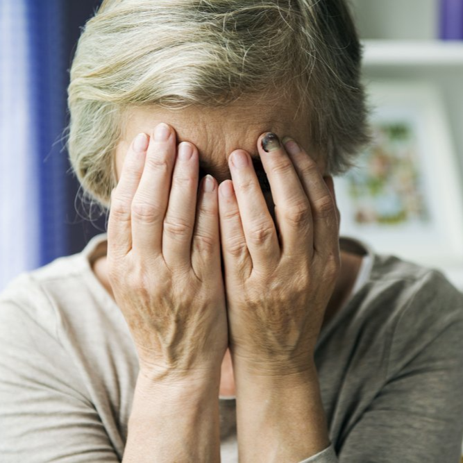 65세 이상 고령 운전자 교통안전교육