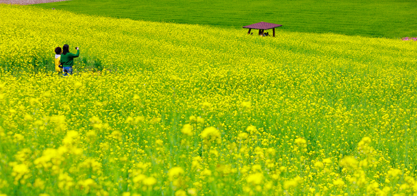 2025 금당야행] 예천 금당실마을에서 밤을 걷다! 체험&middot;먹거리&middot;축제 총정리
