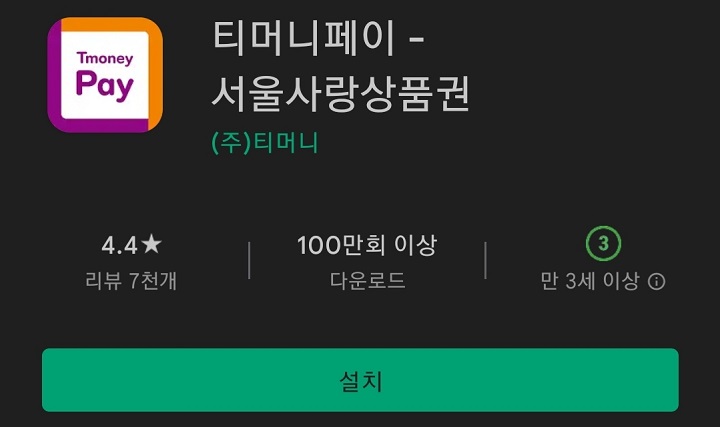 티머니-페이