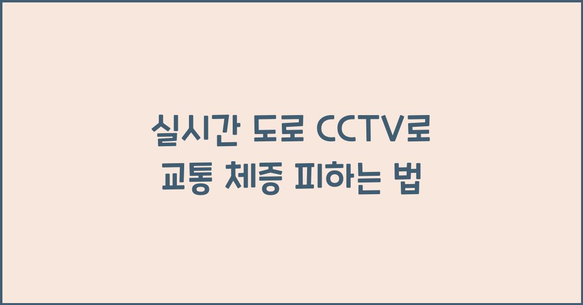 실시간 도로 cctv