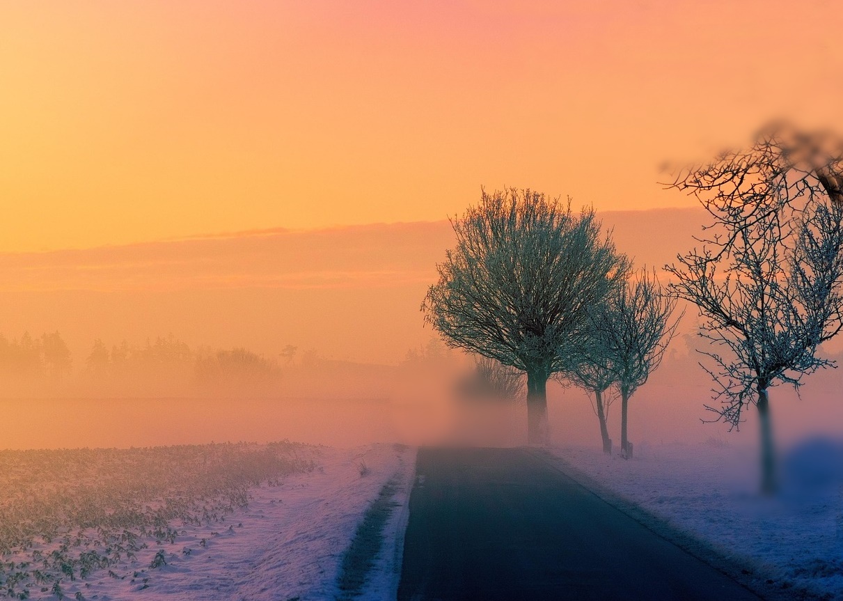 혈당이 무너지면 가장 먼저 위험해지는 장기&amp;#44; &lsquo;신장&rsquo;