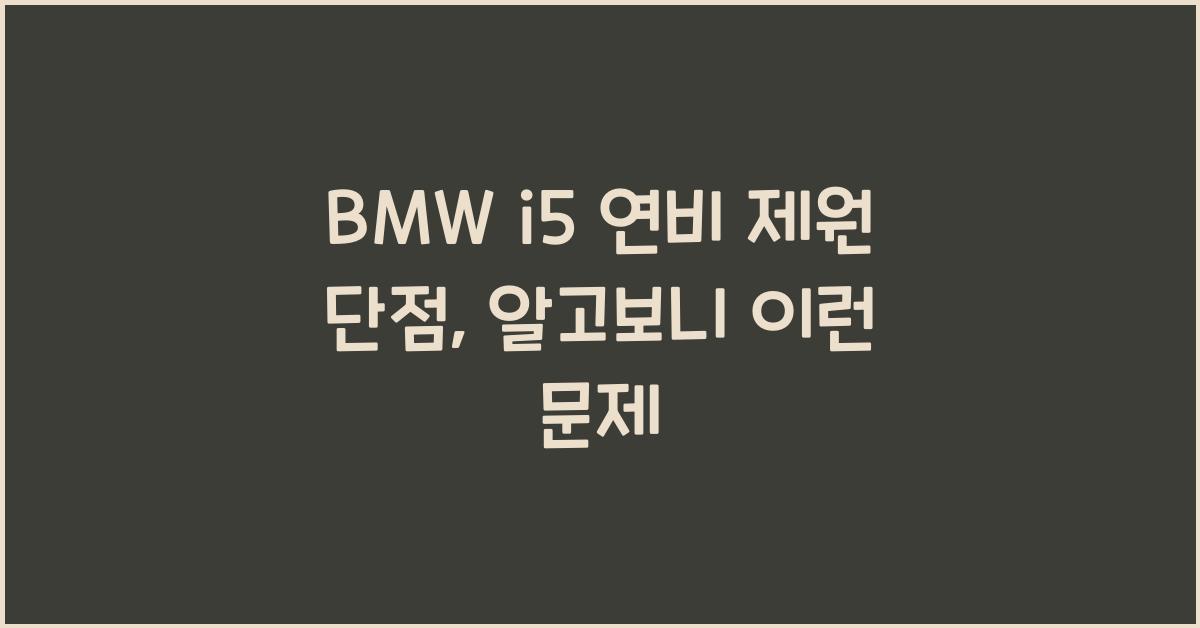 BMW i5 연비 제원 단점