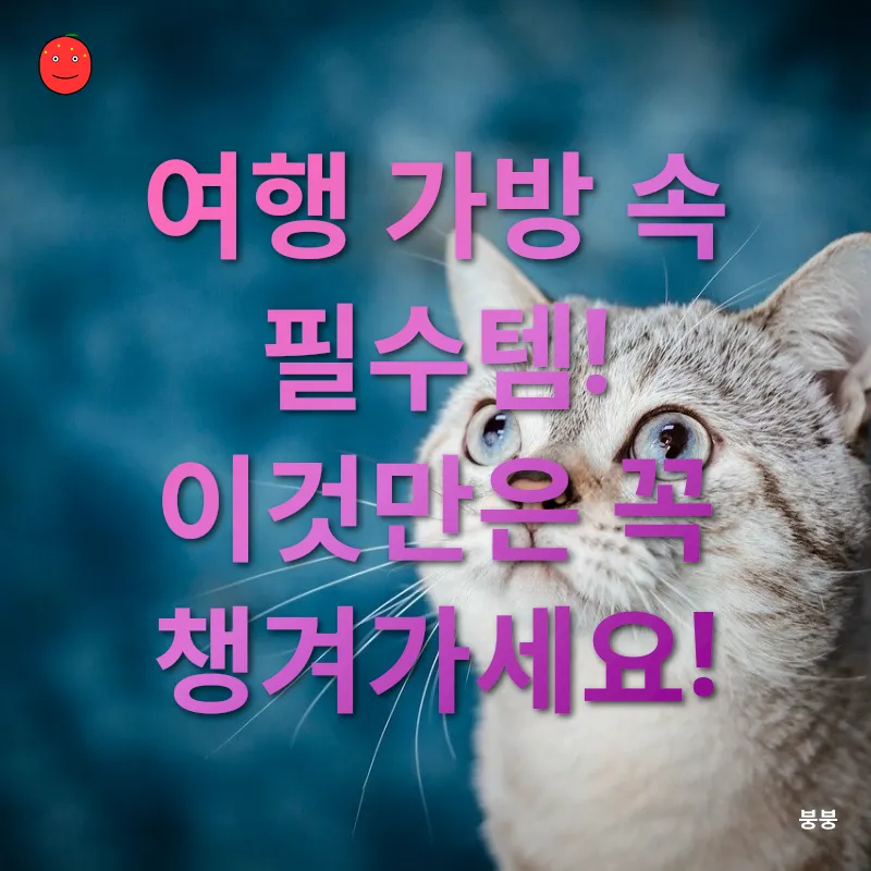 반려동물 여행_3
