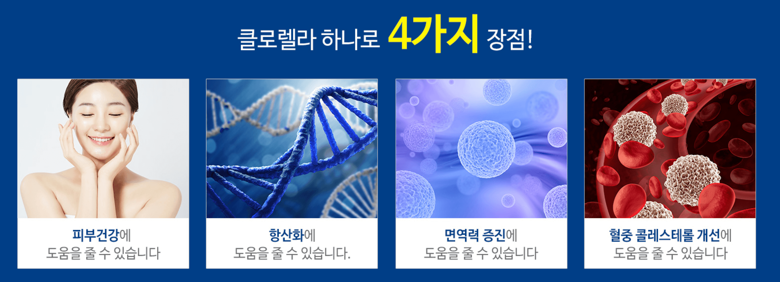클로렐라-4가지-효과