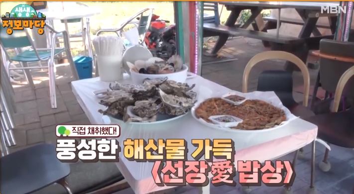 선장애 밥상 해루질 물질 고수 해남 선장님 직접 잡은 모듬 해산물 포항 호미곶 포장마차 맛집 추천