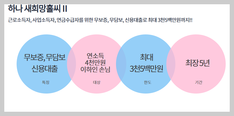 하나은행-새희망홀씨2