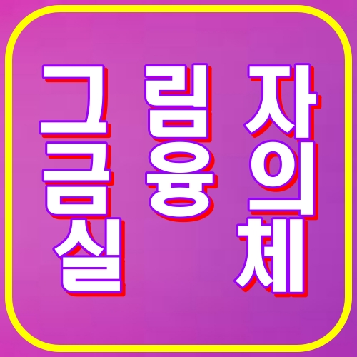 그림자금융의실체