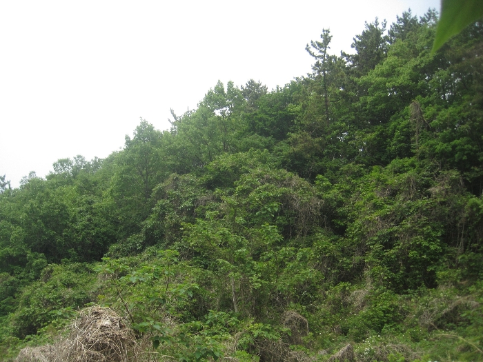진주지원2022타경32704 본건 일부 전경