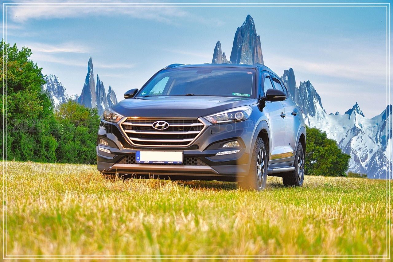 2025년 개별소비세 인하 적용 품목, 자동차 적용 대상 품목 총정리