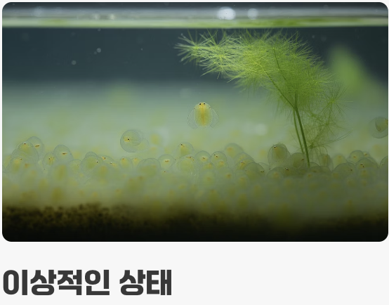 물 관리, '깨끗함'과 '더러움' 사이의 줄타기