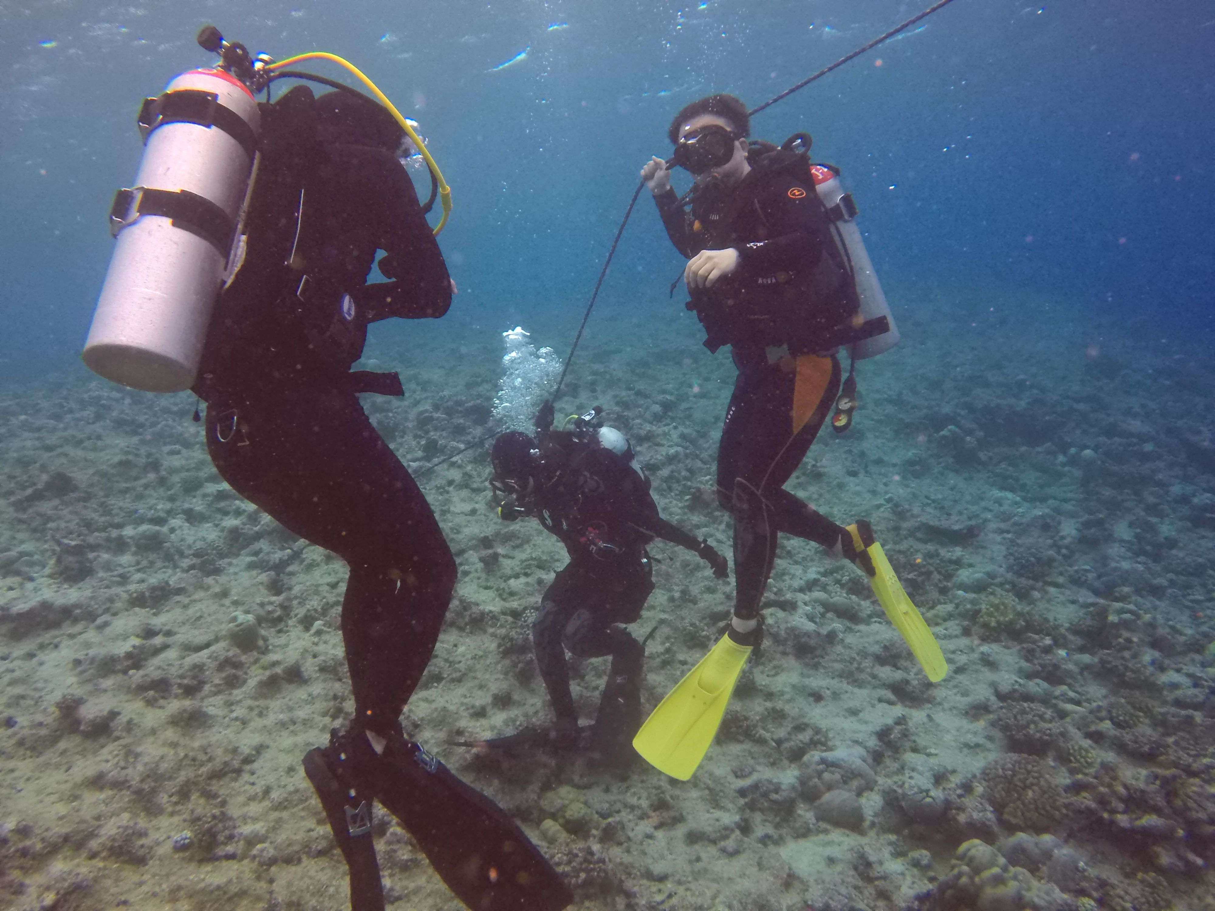 스쿠버다이빙 오픈워터 관련 사진