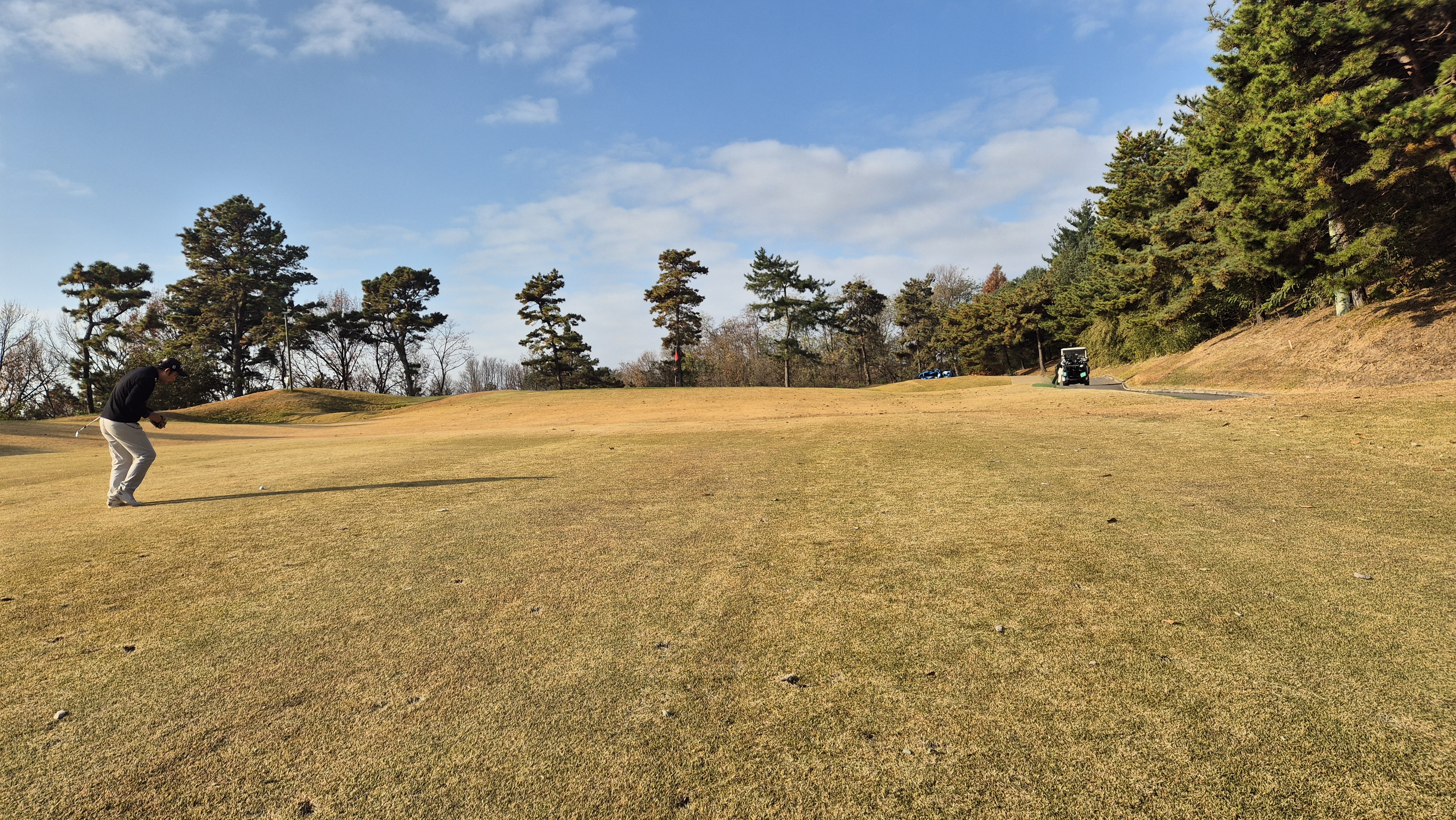 올데이 떼제베cc 가람코스 사진 및 공략 정보