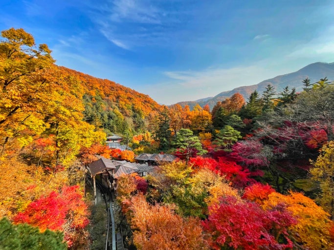 화담숲 2025 가을 시즌 예매 오픈 &ndash; 일정&middot;가격&middot;예약방법 총정리 관련 사진