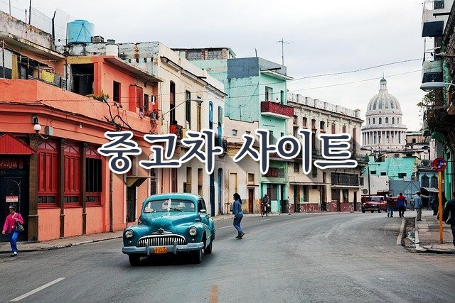 중고차 사이트