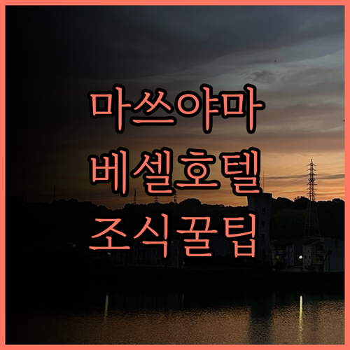 마쓰야마 베셀 호텔 후기.. 무료 조