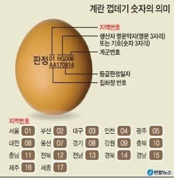 계란에 적힌 번호가 정확히 뭘까 계란 난각번호 4번 제대로 알고 먹고 있나요_34
