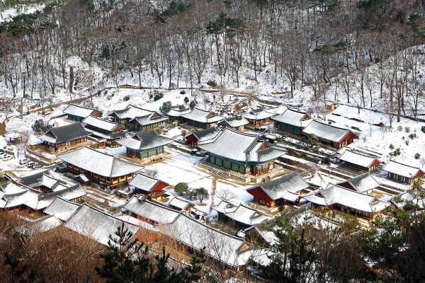 전남 겨울 명소 추천, 조용히 걷기 좋은 역사&middot;사찰&middot;전통 공간 BEST 4