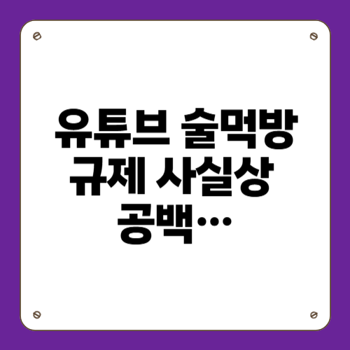 유튜브 술먹방 규제 사실상 공백…