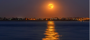 전국적인 정월 대보름 행사들..가족의 행복과 건강을 기원합니다