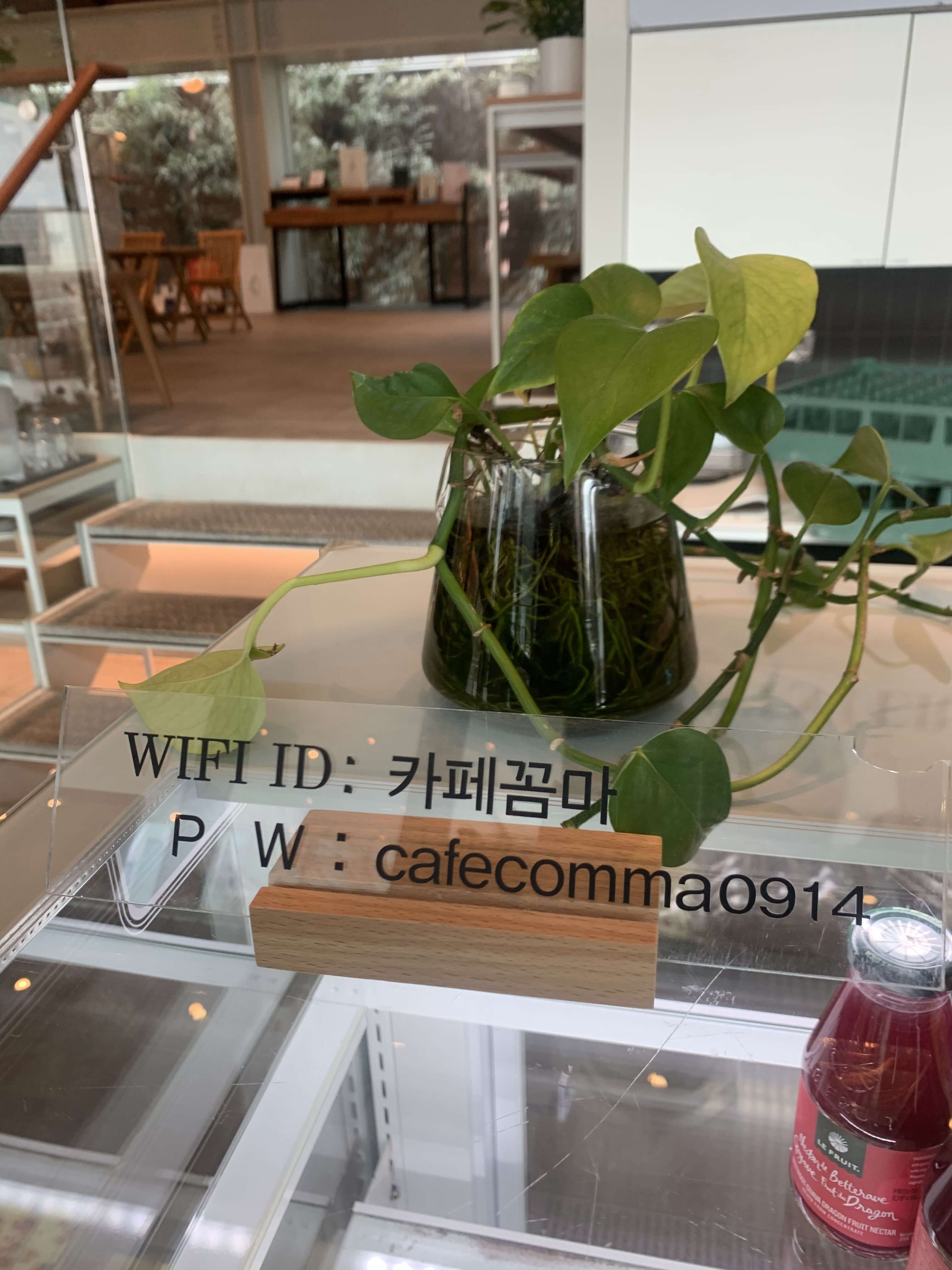 와이파이
