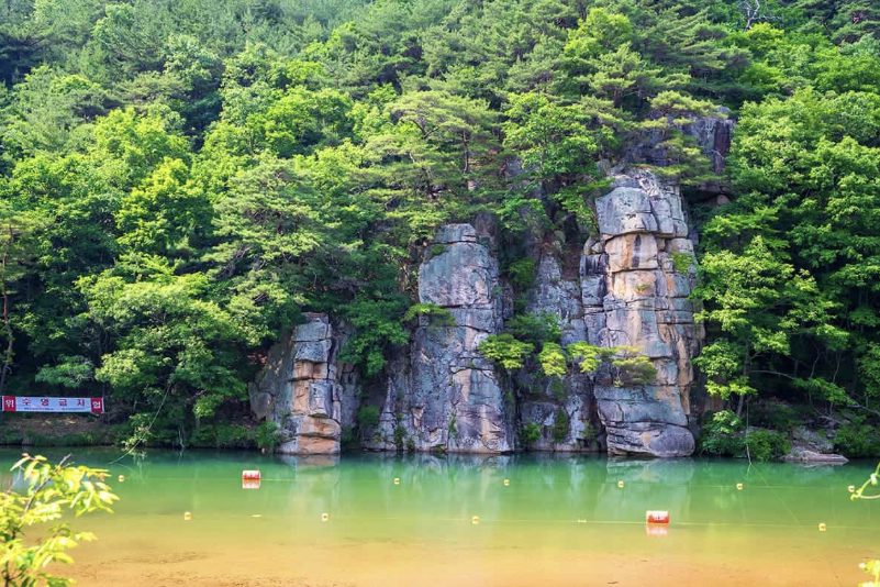 7·8월, 이곳 안 가면 여름 손해! 국내 여름 여행지 TOP5 추천