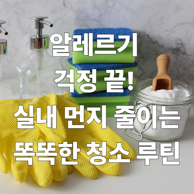알레르기 걱정 끝! 실내 먼지 줄이는 똑똑한 청소 루틴