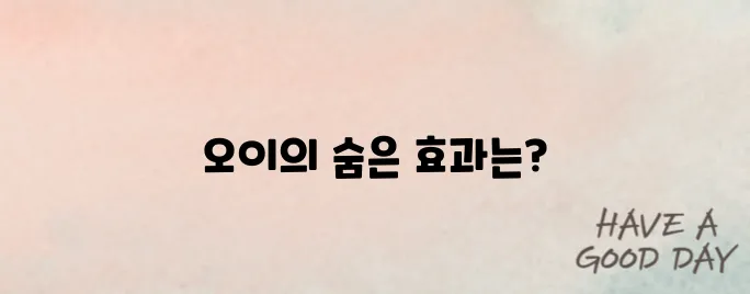 오이 효능