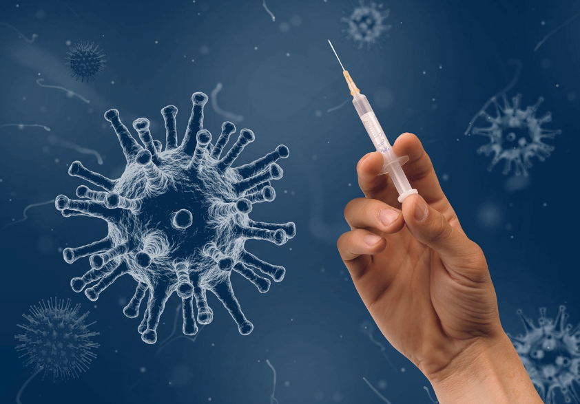 2025 Korea Influenza Update