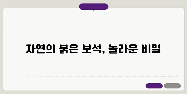 크랜베리의 효능 이보다 자세히 설명할순없다