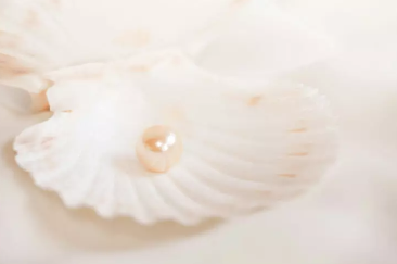 진주의 돌 언어.