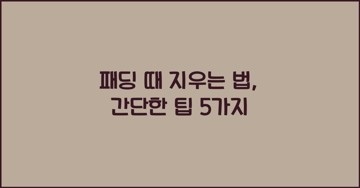 패딩 때 지우는 법