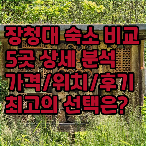 지난 장청 대학가 숙소 5곳 상세 정