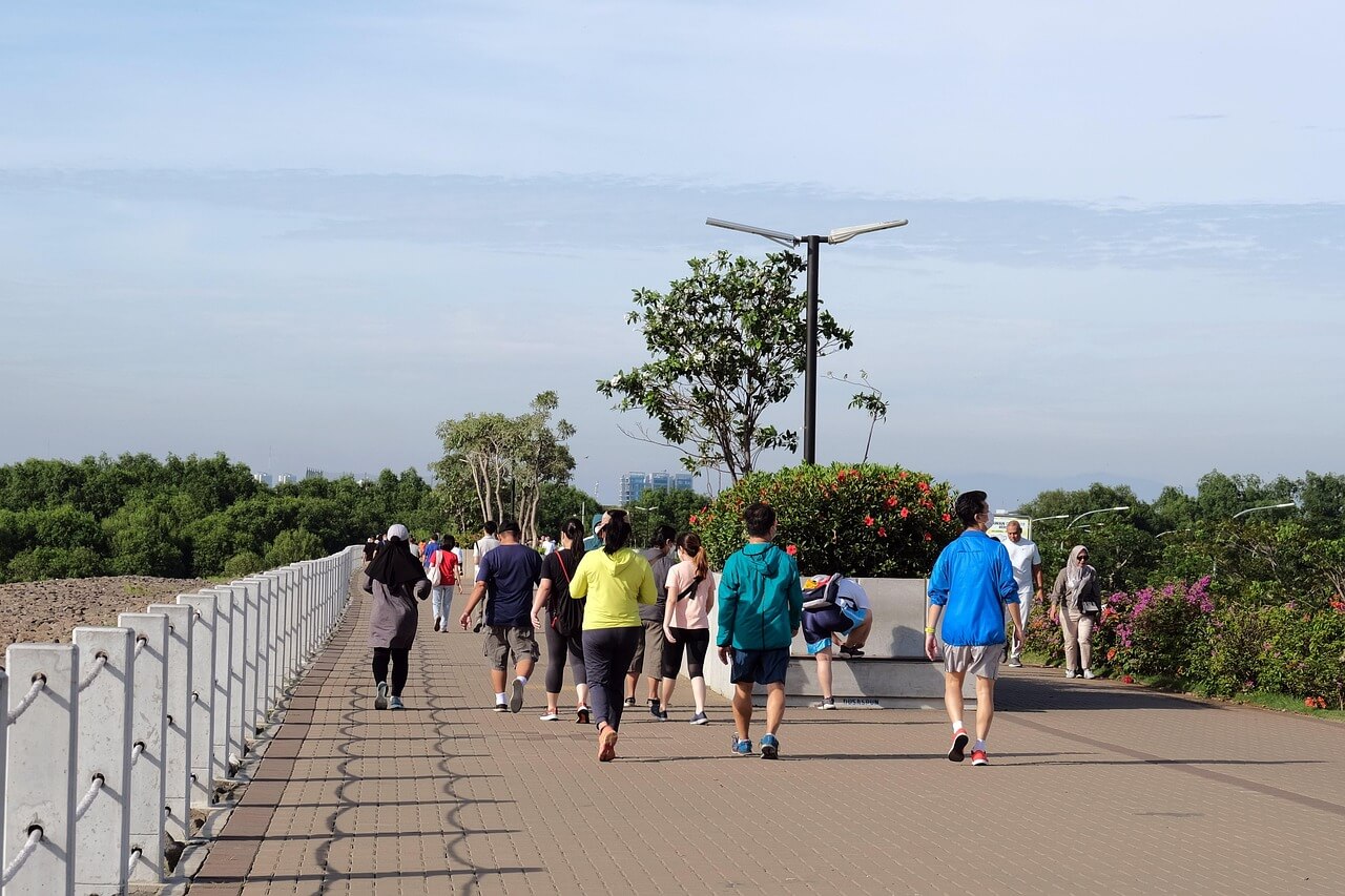 부산 사하구 개업 선물&amp;#44; 개업 화분&amp;#44; 개업 꽃바구니&amp;#44; 화분 배달&amp;#44; 당일 배송 (내돈내산 후기)
