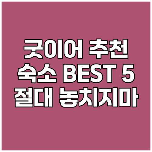 굿이어 레드 라이언 인 솔직 후기 고